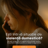 ANES Violență domestică