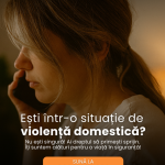 ANES Violență domestică